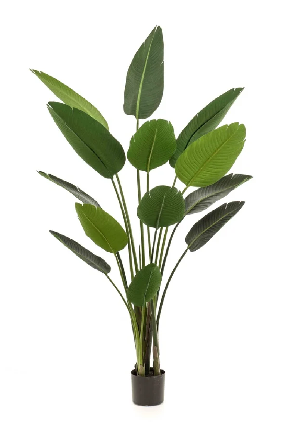 Image of Potted Faux Houseplant Set (2) | Emerald Strelitzia