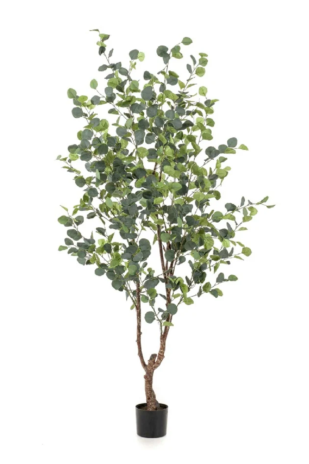 Blue Gum Faux Tree Set (2), Emerald Eucalyptus Globulus