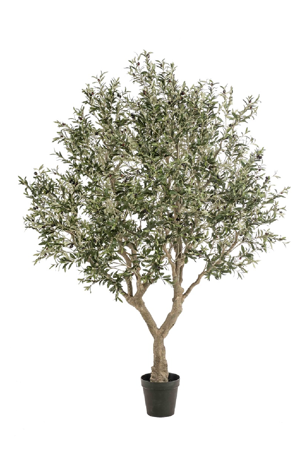 Image of Faux Mediterranean Evergreen Tree | Emerald Olive