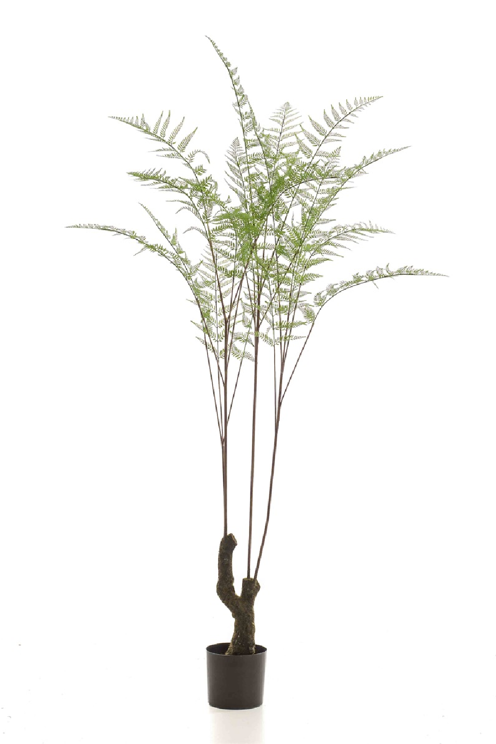 Image of Decorative Potted Faux Plant Set (2) | Emerald Fern Forest On Trunk