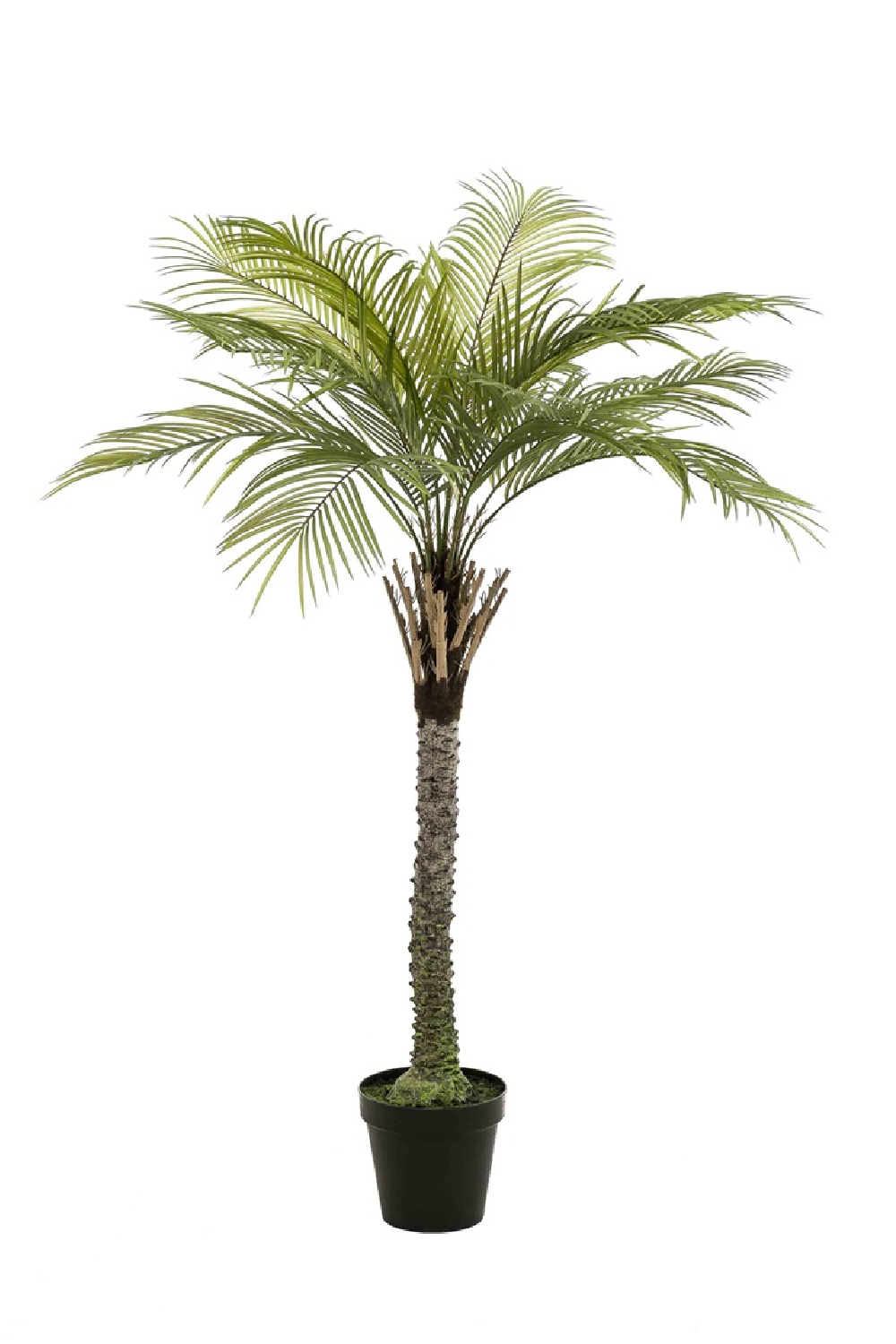 Palmera artificial Kentia XL Deluxe 260 cm