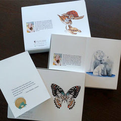 Wildlife Conservation Cards