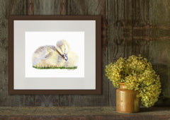 Sleeping Baby Duck Animal Art Print