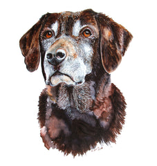 Customized Pet Portrait