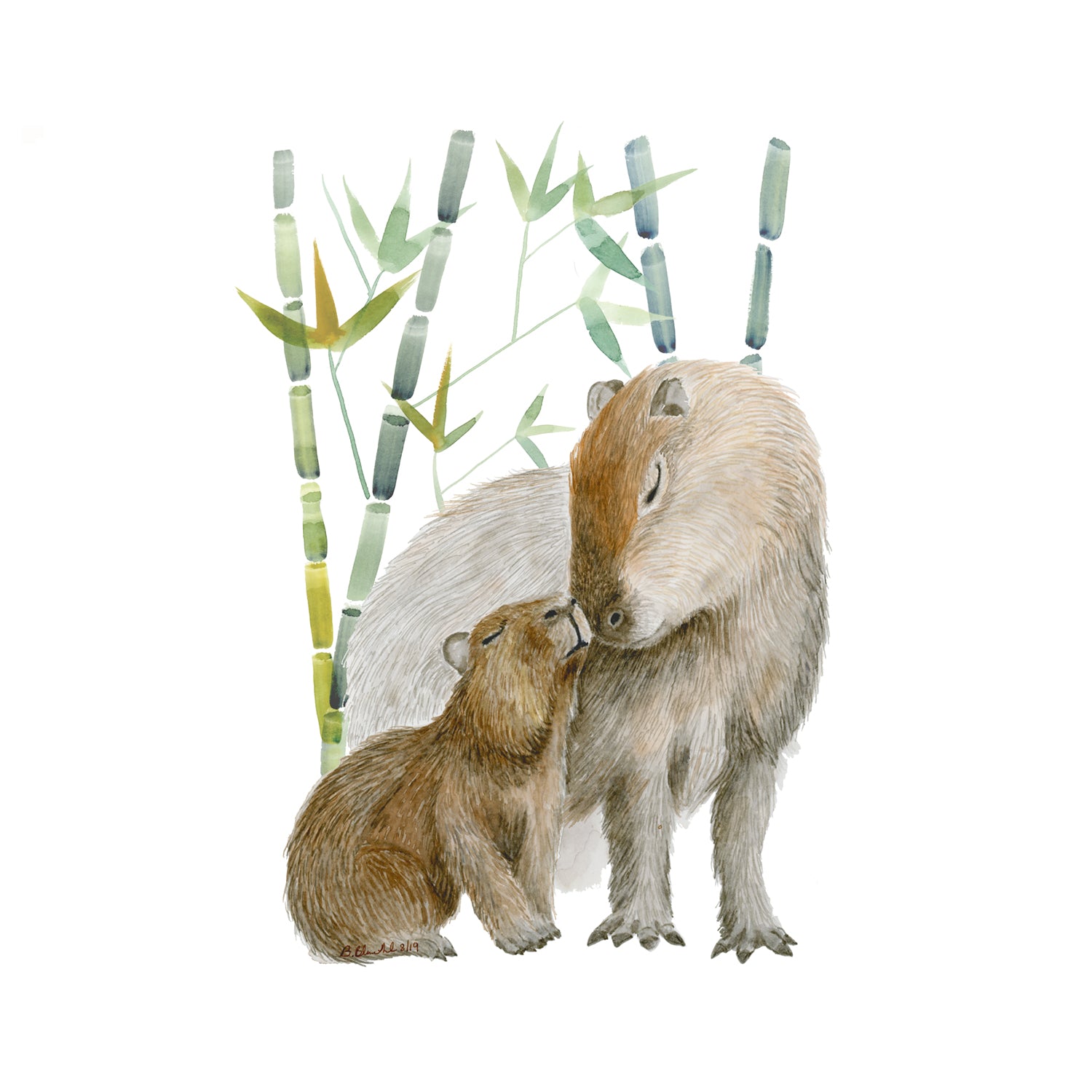 capybara pet baby