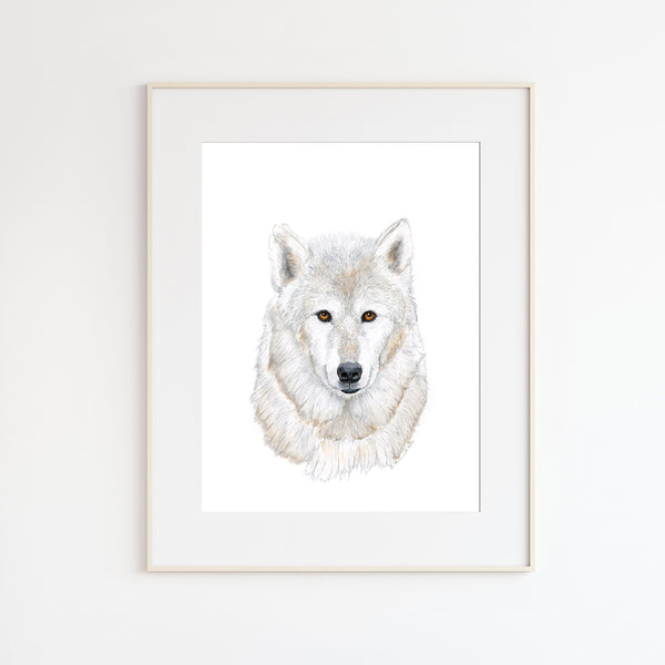 Wolf Watercolor Art | Saint Francis Wolf Sanctuary | Tiny Toes Design