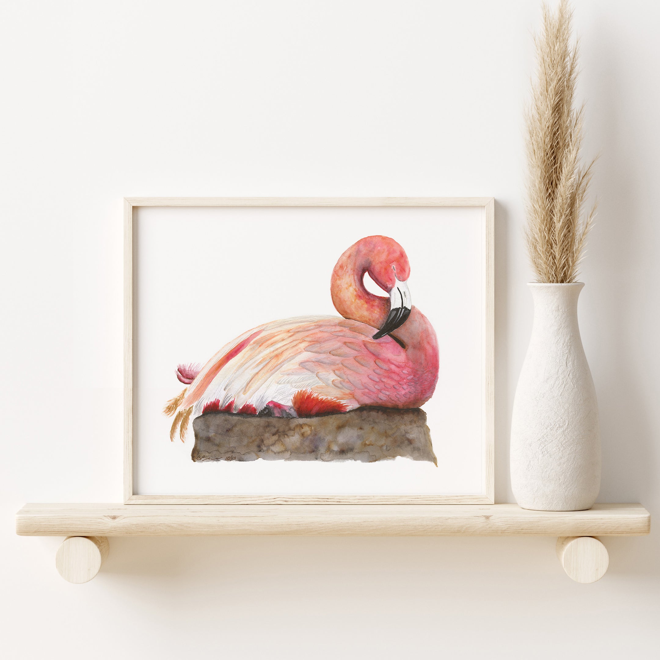 Sleeping Flamingo