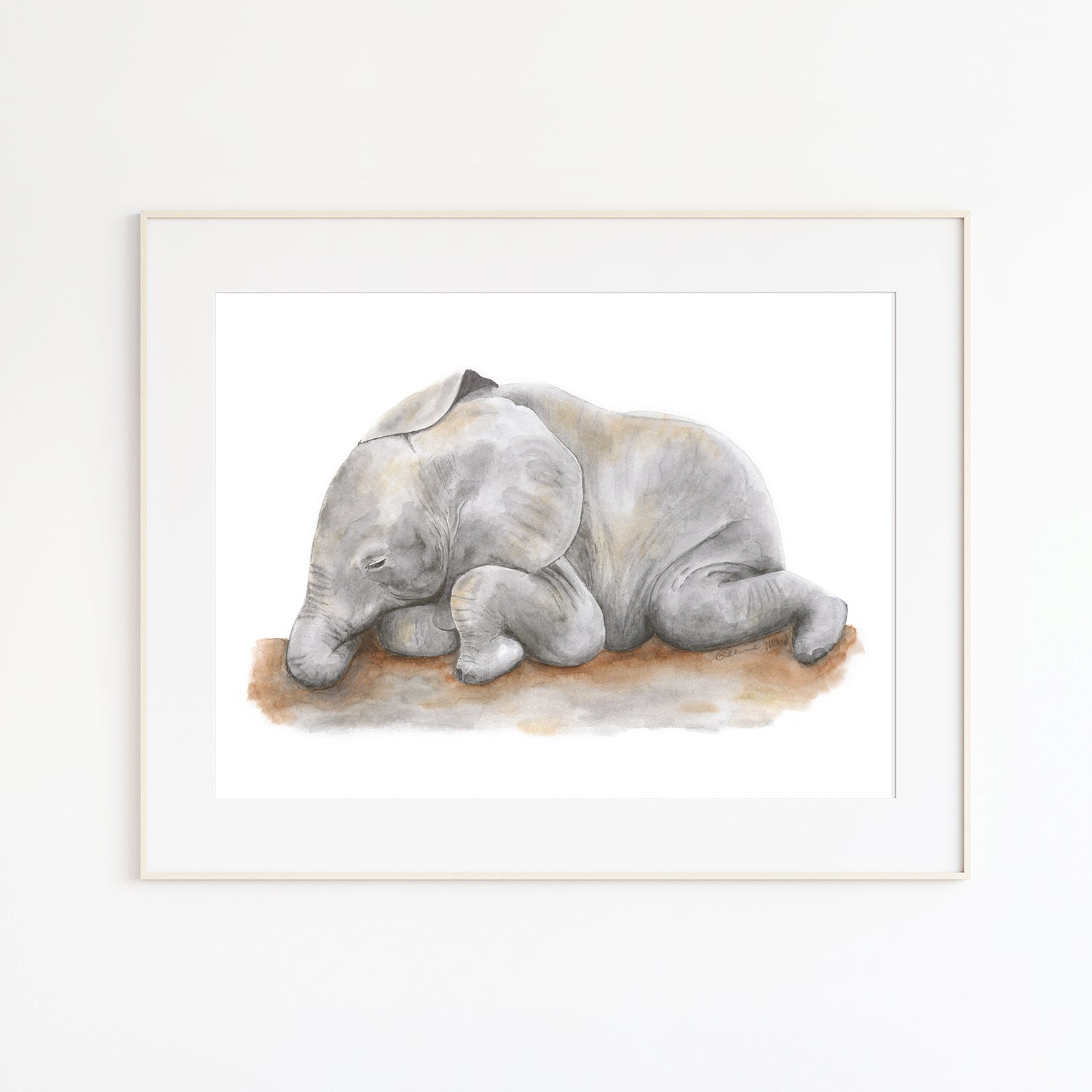 baby sleeping elephant