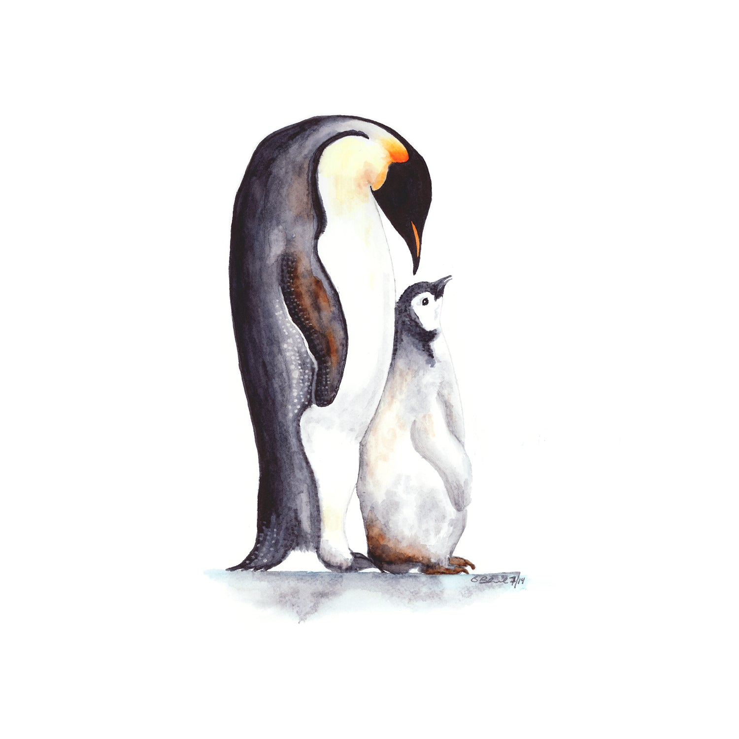 Dad And Baby Penguin Print Arctic Nursery Decor Tiny Toes Design