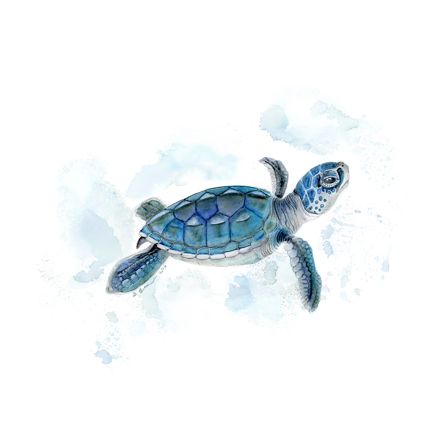 sea turtle nursery theme