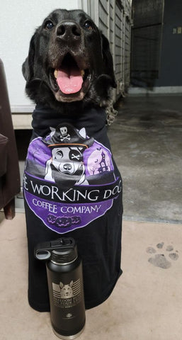 Tuxx, US Air Force MWD, with Working Dog Coffee Company "Boneyard" t-shirt and "Freedom Runs on Four Legs" water bottle