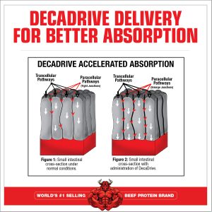 DecaDrive Delivery