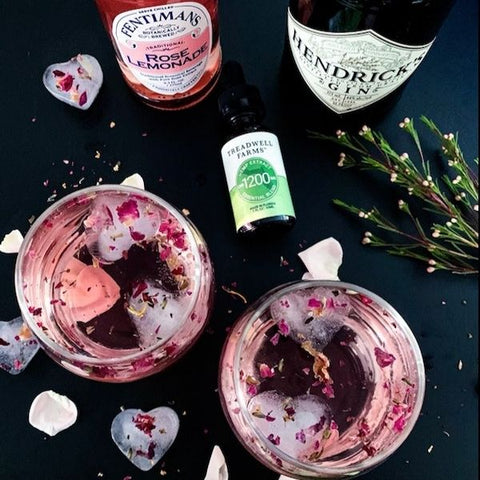 2 Glasses with CBD Rose Lemonade and heart shaped ice cubes, Essential Blend and bottles of ingredients around the glasses