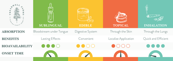 A chart showing the ingest-ability and onset times of different CBD products