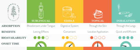 A chart detailing different ways of ingesting CBD and the effects on the body