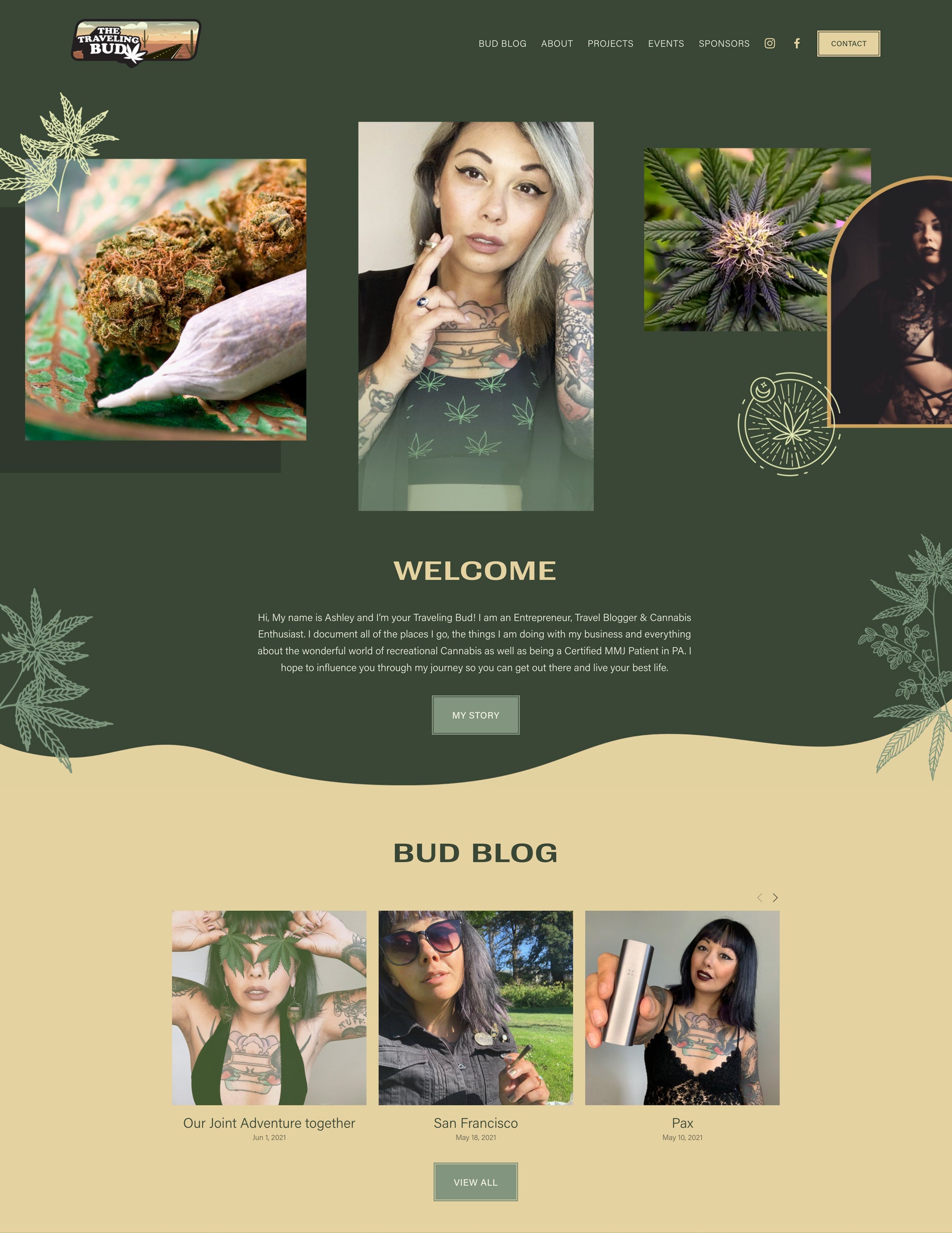 Kurt Diserio web graphic designer consulting Traveling Bud cannabis blog