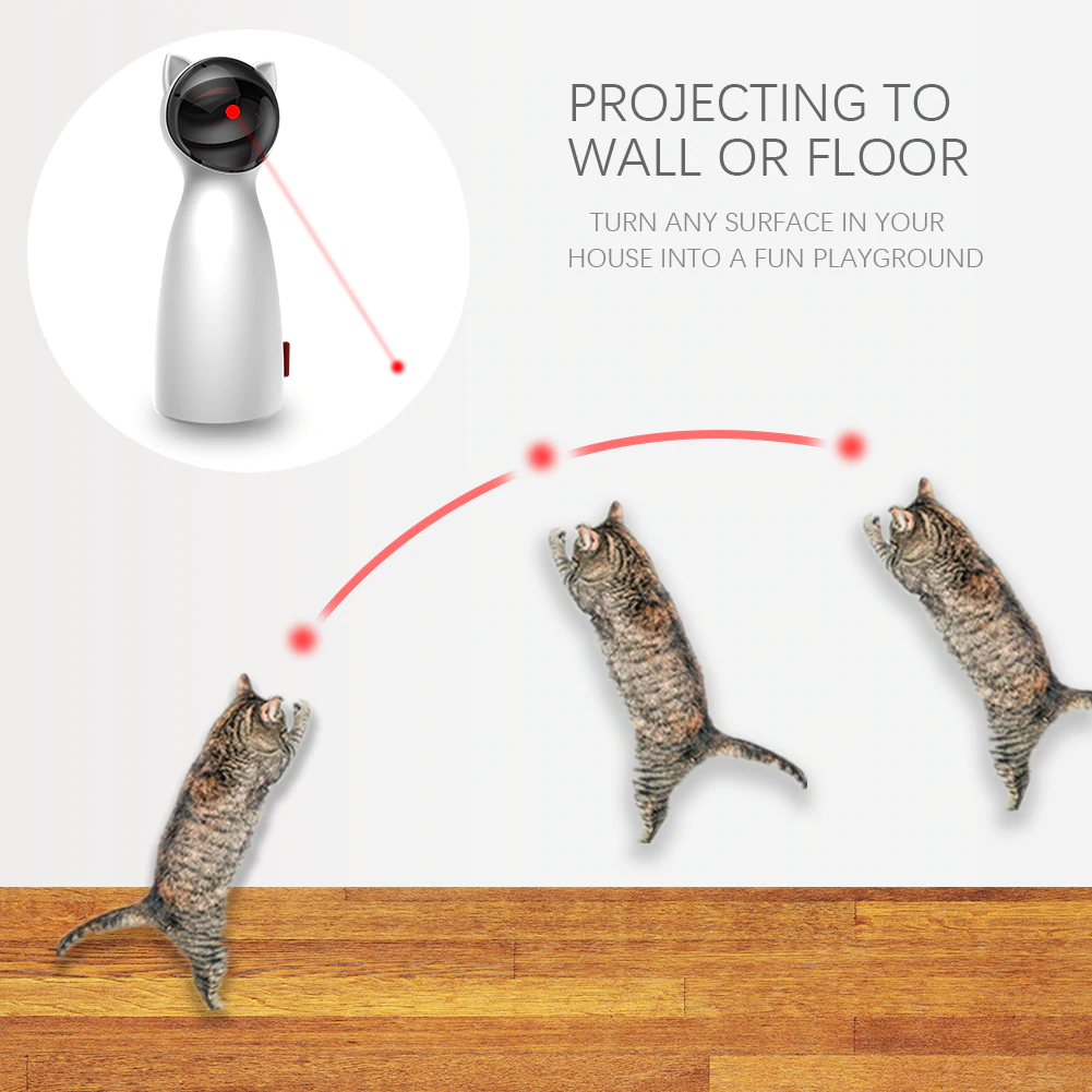 smart cat toys