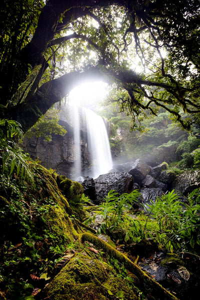 Waterfall in forest by Matthew Littlewood. Top shelf camera bag. Bevisgear