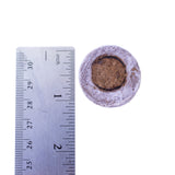 Compressed Coconut Coir Seed Starting Puck - Netted
