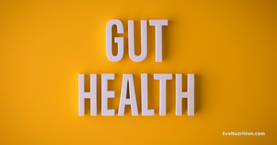 What is gut health - best supplement for gut health