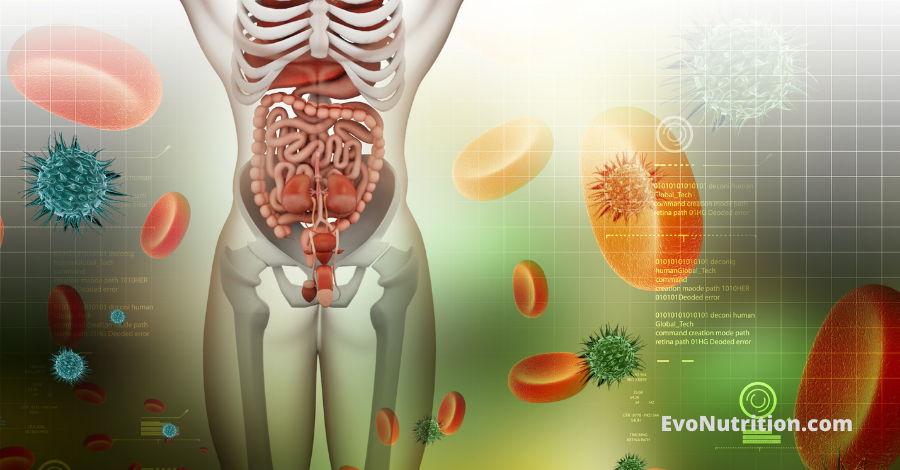 The science behind intermittent fasting and Goli Gummies 