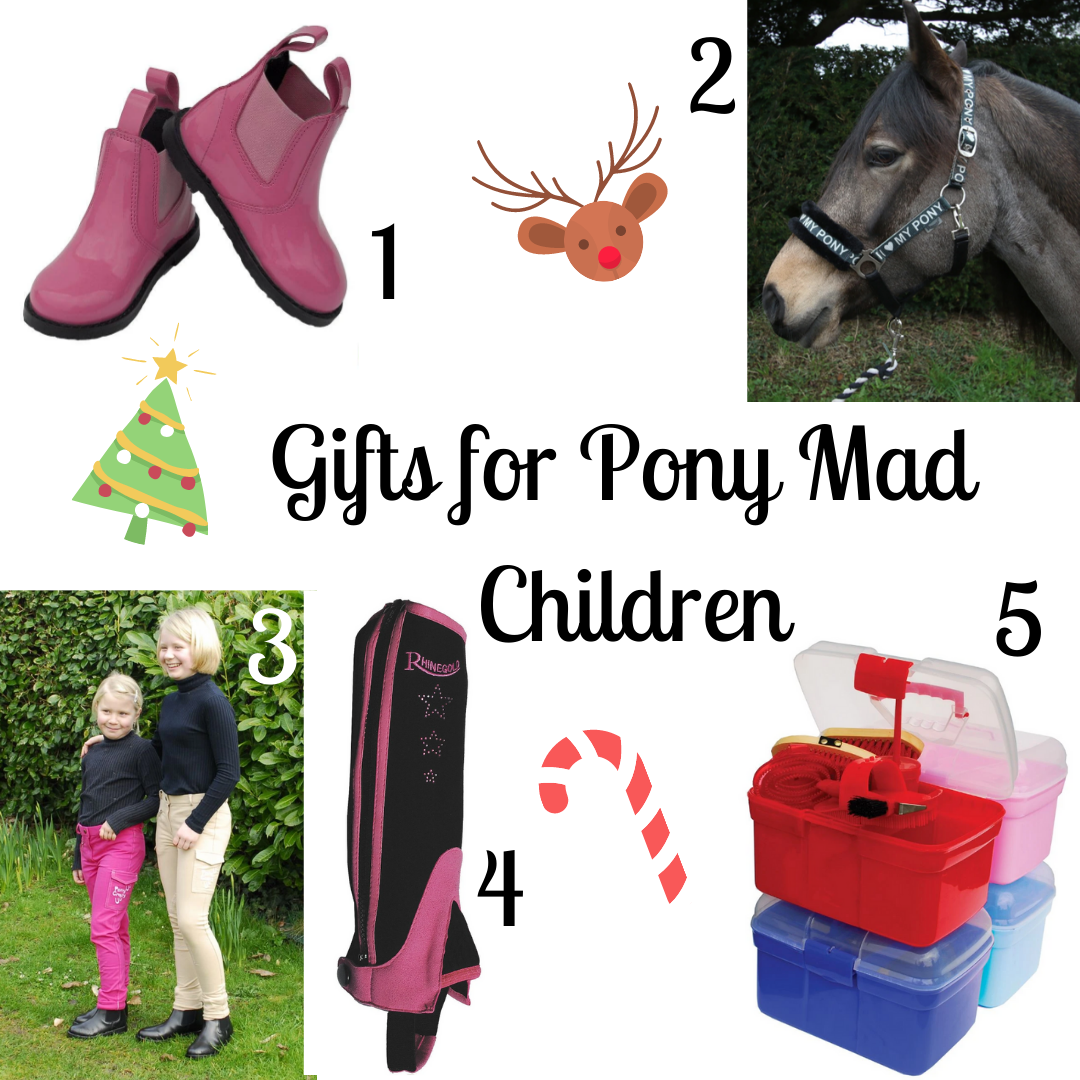 Christmas Gifts for Pony Mad Children