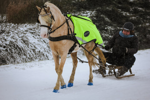 Customer sledging with her pony