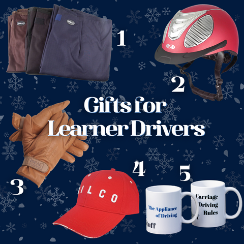 Gifts for Learner Carriage Drivers