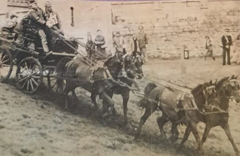 Carriage Driving Lowther