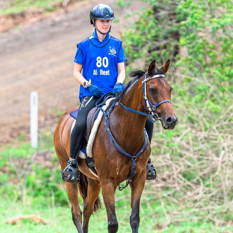 Horse Endurance Riding Zilco