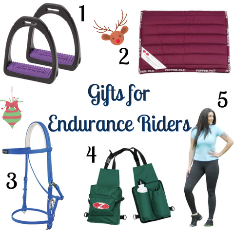 Christmas Gifts for Endurance Riders