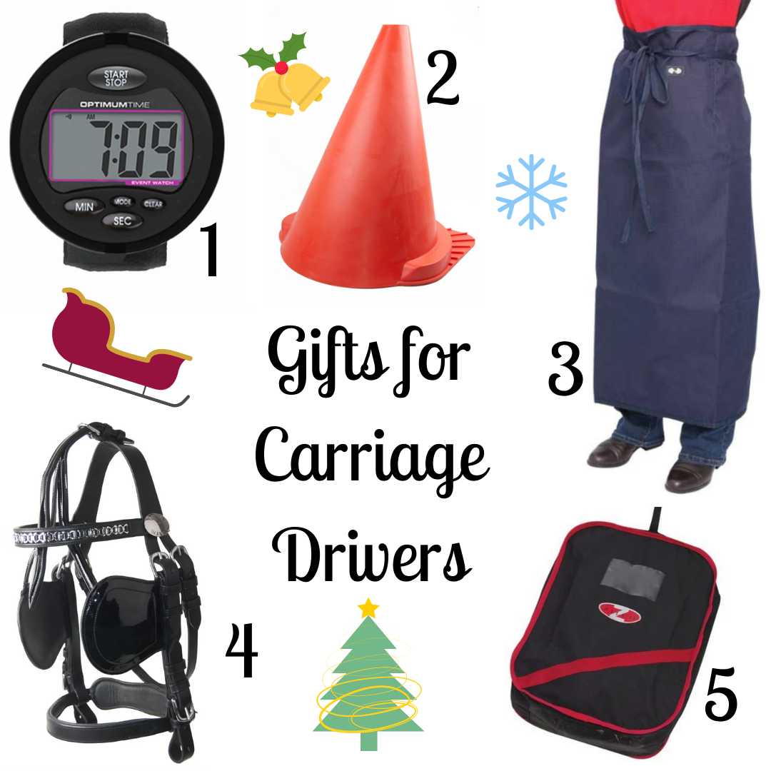 Christmas Gifts for Carriage Drivers