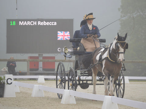 Bex and Woodie in the dressage