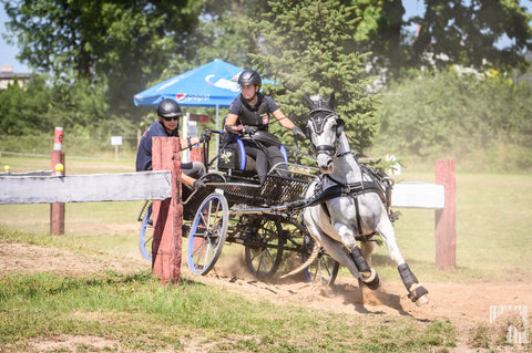 carriage driving marathon