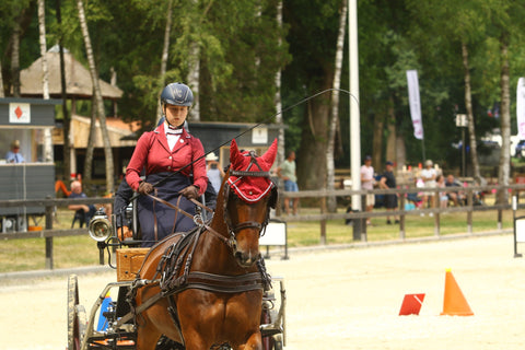 carriage driving pony cones