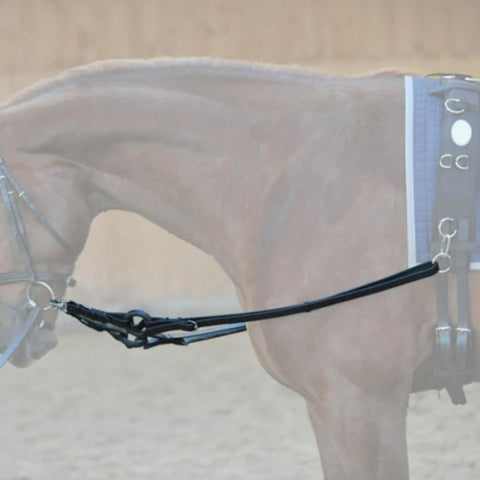 Ideal Equestrian Lungeing Side Reins