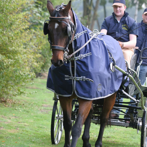 Ideal Carriage Driving Exercise Rug Wet Weather