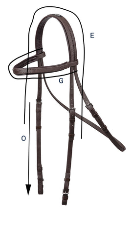 Training Bridle Size Guide