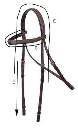 Bridle Size Guide