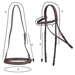 Training Bridle Size Guide