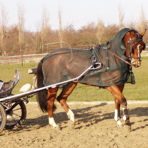 Ideal Anti Fly Carriage Driving Exercise Sheet