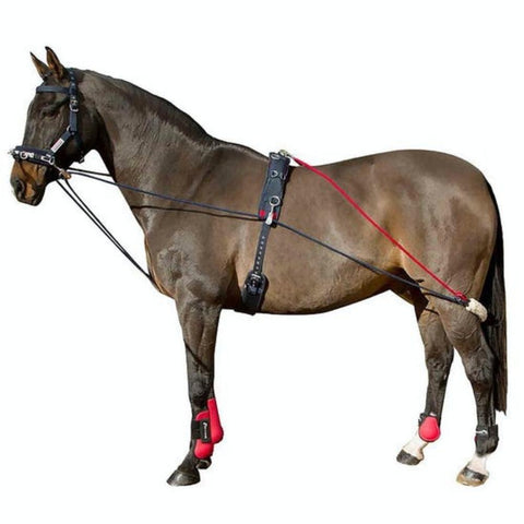 Whitaker Horse Lungeing Training System