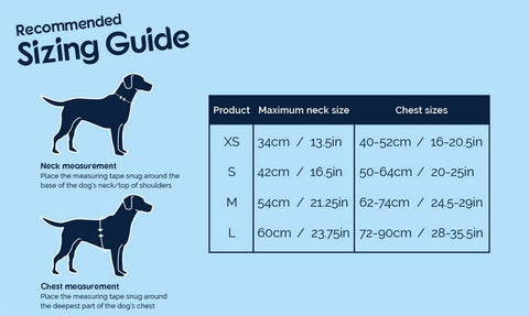 Carsafe Dog Travel Harness Size Guide