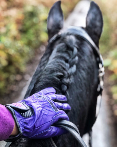 eEquest Riding Gloves Through the Ears