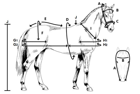 Ideal Measuring diagram