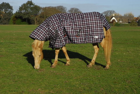 Rhinegold Glacier Turnout Rug