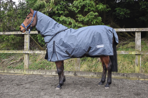 Whitaker Turnout Rug 200g