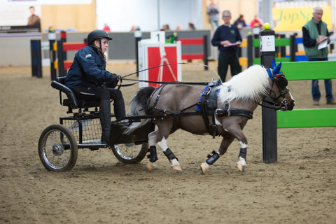 Small Pony Carriage Driving