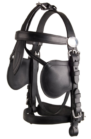 Ideal Leathertech Bridle