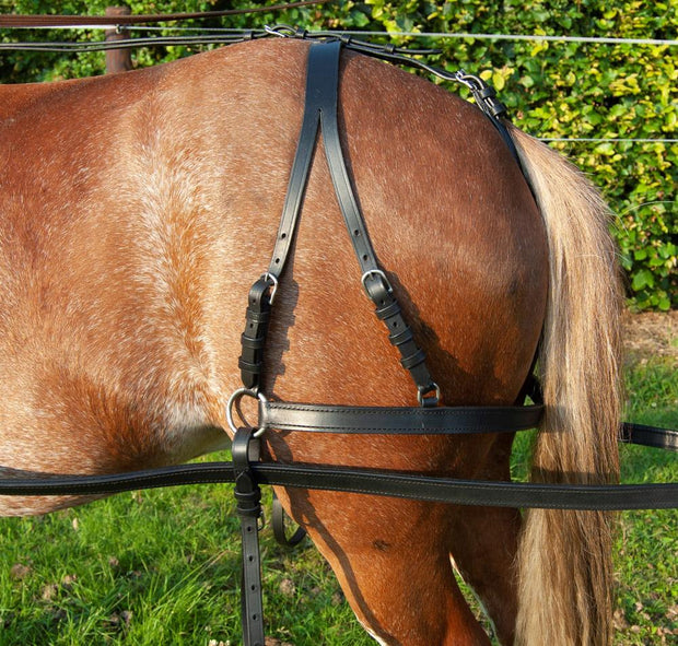 Luxe Patentleather Harness - Ideal Equestrian